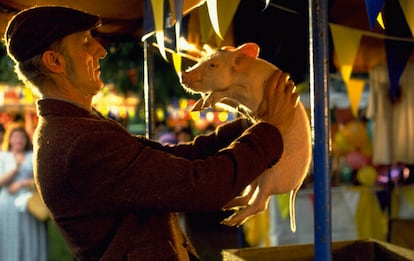 Babe, el cerdito valiente, de Chris Noonan