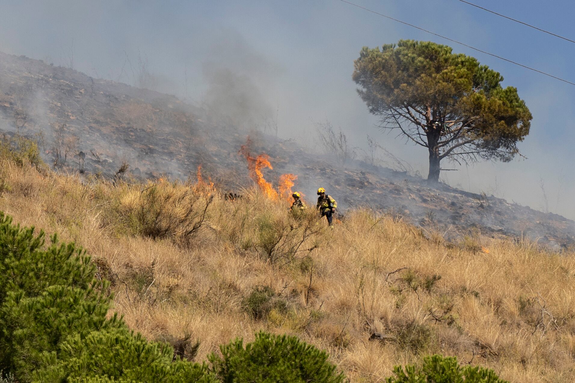 Incendio en el parque de Collserola en Esplugues de Llobregat.