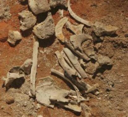 Algunos de los huesos hallados en Las Quemadillas, según el informe del forense Etxeberria.
