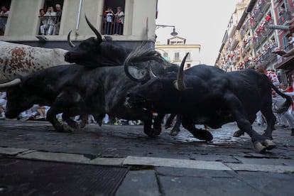 Bulls from the Cebada Gago ranch on Estafeta Street.