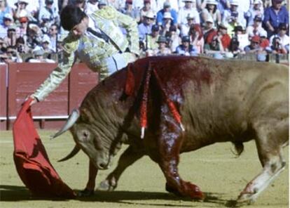 Jesulín de Ubrique, durante su actuación  en la Maestranza.