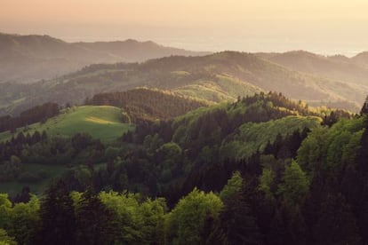 Un paisaje de bosques en la regi&oacute;n alemana de la Selva Negra. 