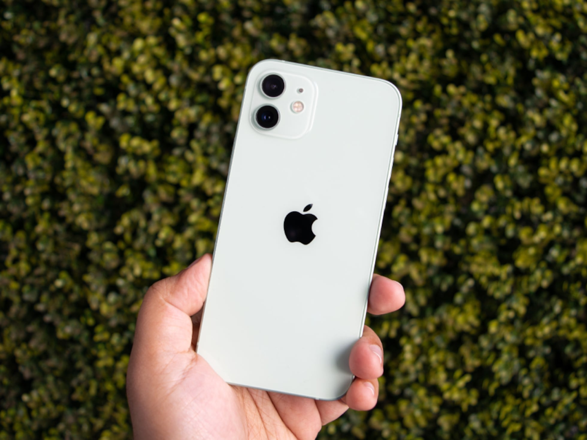 Descuento reacondicionados amazon on sale