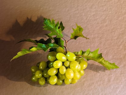 Los racimos de uva más codiciados en Navidad proceden de la comarca alicantina del Vinalopó.