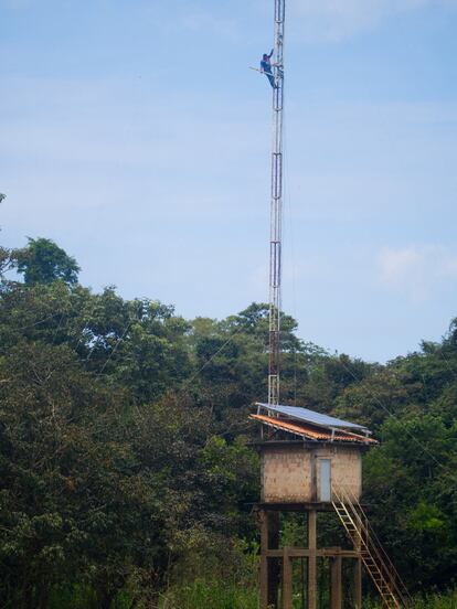 Un operario se sube a una inmensa antena que, para que la red de Internet funcione, debe sobrepasar la copa de los centenarios árboles amazónicos.