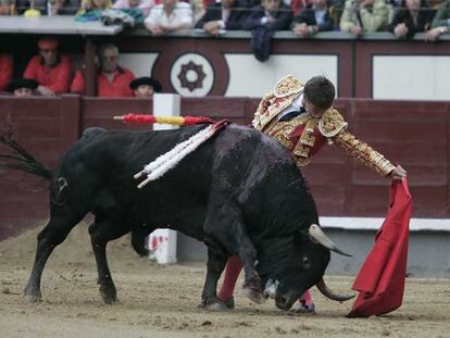 <i>Cantapájaros</i> desciende de <i>Alcalde,</i> y es el último de los éxitos de la ganadería de Victoriano del Río