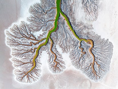 ’Los pulmones exhaustos de la Tierra’. La cuenca del río Colorado —aquí en su tramo por el noroeste de México— se ha visto gravemente afectada por una combinación de mala gestión y sequía prolongada, alcanzando un punto crítico de no retorno. Los intrincados patrones formados por el agua, que metafóricamente se asemejan a los pulmones de la tierra, se han agotado y se tambalean al borde del colapso. Esta es la descripción que hace Ignacio Medem de su propia imagen, ganadora en la categoría de fotografía abstracta de los Drone Photo Awards 2023.