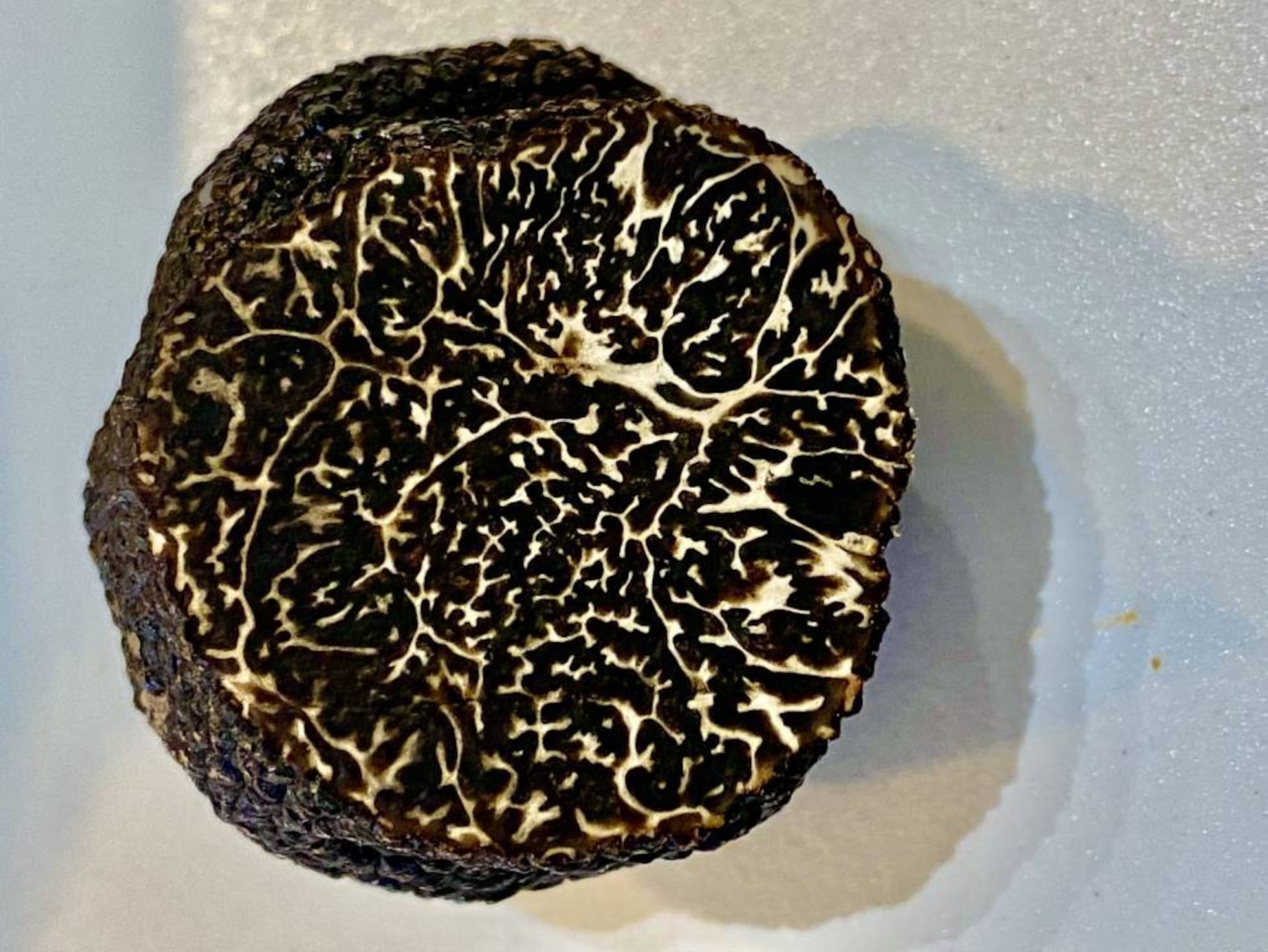 Trufas negras, la perversión del gusto | Gastronotas de Capel | EL PAÍS