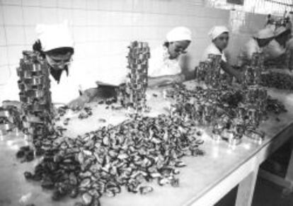 Mujeres rellenando latas de mejillones.