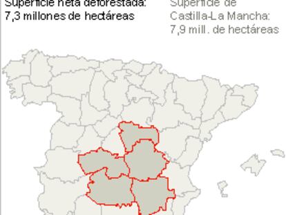 La pérdida de masa forestal