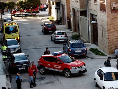 Efectivos de la Policía Foral y la Guardia Civil, este miércoles en Olite (Navarra).