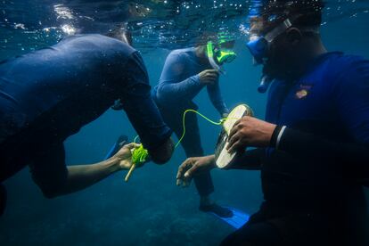 Guardias y biólogos del Parque Marino Coelacanth de Tanga (Tanzania), junto con conservacionistas de Wildlife Conservation Society (WCS), realizan la supervisión mensual sobre el estado de la barrera de coral dentro del parque marino.