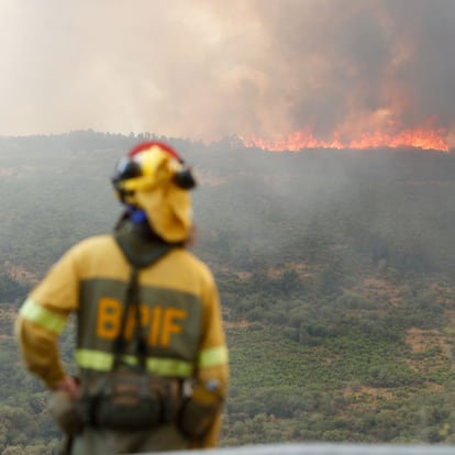 Un bombero observa el incendio forestal, a 24 de agosto de 2025, en La Baña, Encinedo, La Cabrera, León, Castilla y León (España). La evolución del incendio forestal procedente de Porto (Zamora) ha sido “favorable” durante la noche, aunque se ha activado la zona de la divisoria de cumbres entre Zamora y León y en la ladera de La Baña, que fue evacuada en la tarde del sábado. Los medios aéreos y terrestres trabajan para atajar el avance de un fuego en el que sigue habiendo frente activo en el Cañón del Tera, que no es muy intenso ni avanza rápido, pero se prevé que dure varios días por la dificultad de extinción en esa zona.
24 AGOSTO 2025;INCENDIO;INCENDIO FORESTAL;ZAMORA;PORTO;LA BAÑA;LEÓN;CASTILLA Y LEÓN;ESPAÑA
Carlos Castro / Europa Press
24/08/2025