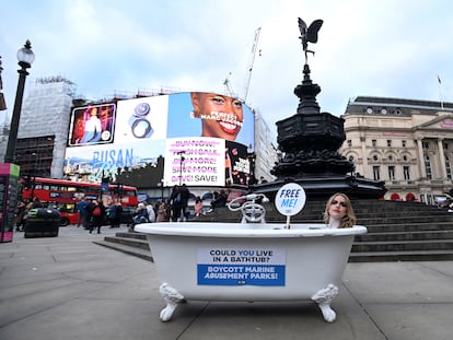 London (United Kingdom), 18/11/2022.- British TV personality Faye Winter painted as an orca whale sits in a bathtub at Piccadilly Circus during a PETA protest against marine amusement parks in London, Britain, 18 November 2022. PETA are urging Britons to skip visits to marine parks that house orcas and dolphins in cramped conditions. (Protestas, Reino Unido, Londres) EFE/EPA/ANDY RAIN
