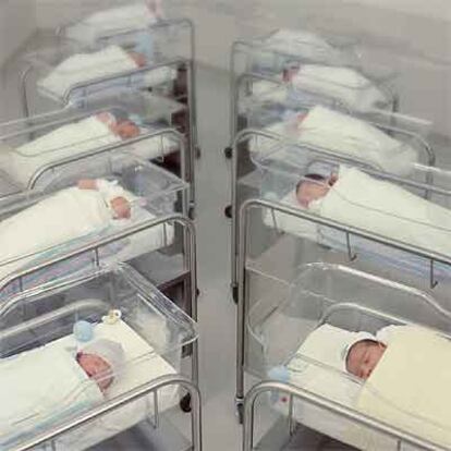 Bebés en el nido de un hospital.