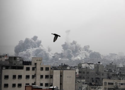 
29 de octubre de 2023. Ciudad de Gaza.

"Vi a este pájaro volando libre, en medio del bombardeo de un barrio residencial en Al Sheikh Radwan. Ese día estuvo lleno de bombardeos y fuertes ataques aéreos golpeando por todas partes en Gaza. La gente se apresuró a sacar a los muertos y heridos de la casa en medio del fuego y el humo. El pájaro siguió volando".