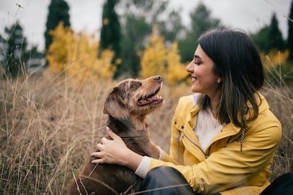 Es recomendable imponer un ritual diario para revisar que el perro no traiga espigas consigo.