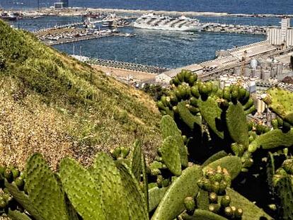 Uno de los acantilados de la montaña de Montjuïc