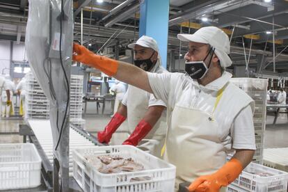 La planta procesadora Mar de Plata.