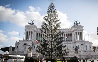 Spelacchio, el abeto que navideño de Roma que llegó sin vida a la plaza Venezia.