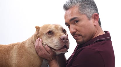 César Millán, conocido por su programa <i>El Encantador de perros</i>, que en España emite Cuatro, está de luto por la pérdida de su perro preferido, Daddy. El can, un pit bull, ha acompañado a Millán durante casi 16 años y el adiestrador le ha dedicado un <i>post</i>de despedida en su página <i>web</i>.