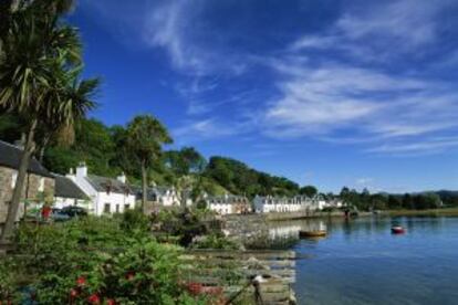 Palmeras en el puerto de Plockton, al noroeste de las 'Highlands' escocesas (Reino Unido).