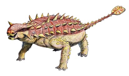 An artist's impression of the appearance of a 'Pinacosaurus grangeri', a Late Cretaceous ankylosaur.