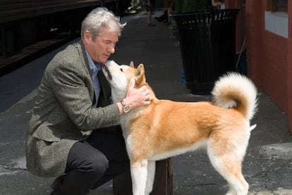 Una fotogalería sobre la belleza no estaría completa sin esta imagen de Richard Gere abrazando a un perro. Es de la película 'Siempre a tu lado', de 2008.