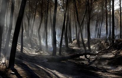 Un monte quemado a causa del incendio entre las localidades de Sot de Chera y Chulilla (Valencia).