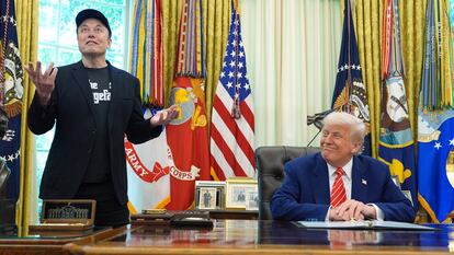 Elon Musk and Donald Trump, last Friday at the White House.