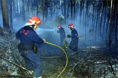 Bomberos de Colindres y Laredo tratan de extinguir las llamas en el bosque de eucaliptos de Seña (Cantabria).
