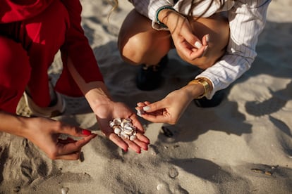 The presence of shells on a beach in Catalonia has decreased almost threefold in just a few decades, according to a study.