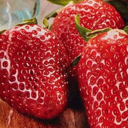 Fáciles de cultivar