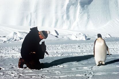 Un miembro de una expedición en el Ártico fotografiando un pingüino 1956.