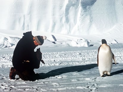 Un miembro de una expedición en el Ártico fotografiando un pingüino 1956.