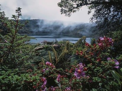 La Laguna de Botos rodeada de vegetación, alrededor del Volcán Poás, en Costa Rica.