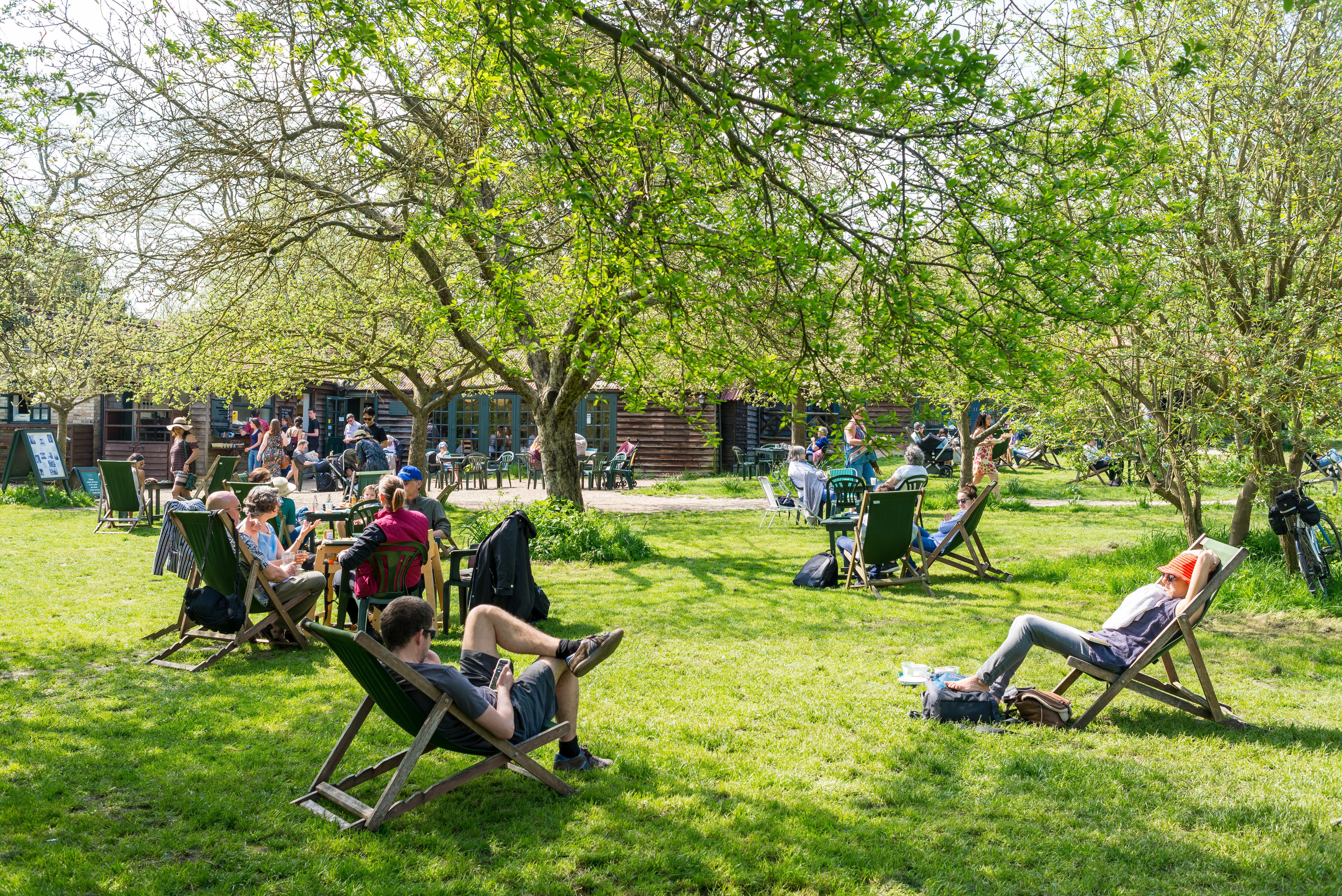 Un grupo de personas disfruta del sol en el jardín del té 'The Orchard', en Cambridge, Inglaterra.