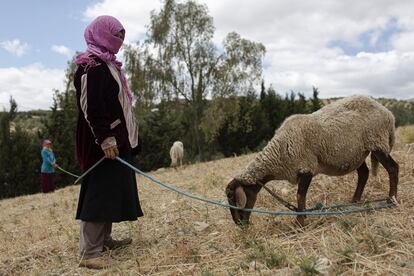 Después de su trabajo como jornaleras, Rajeh y Hakima llevan a sus ovejas a pastar. Con su salario, viven al día. Muchas son analfabetas, y a menudo las chicas son obligadas por sus familias a abandonar la escuela para poder utilizar el poco dinero que tienen en la educación de los hijos varones