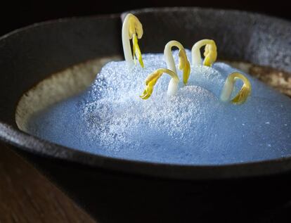 Arroz marino cubierto por un aire azul de ficocianina.