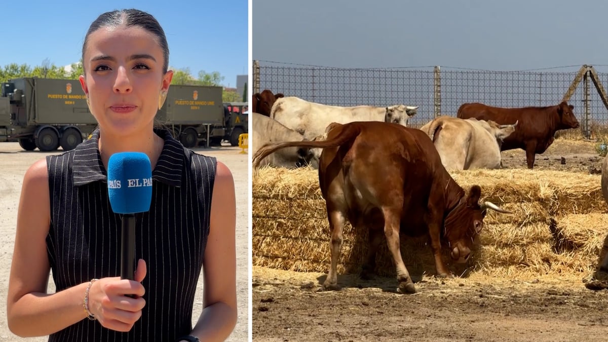 La Guardia Civil facilita el acceso de los ganaderos a sus explotaciones: “Los animales llevan días sin comer”
