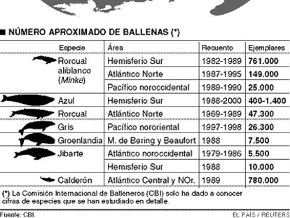 ballenas