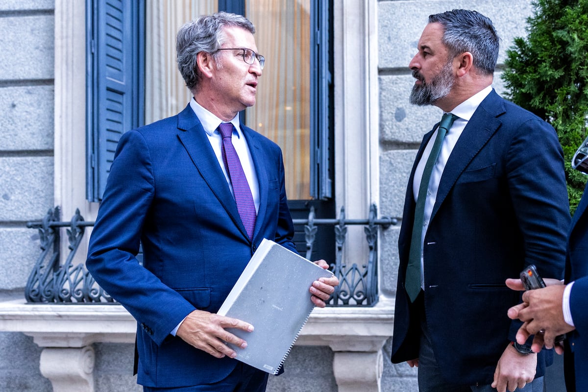 ¿Debemos ‘salvar’ al PP de Vox para proteger la democracia?