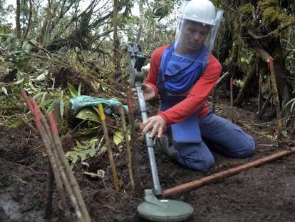 Unos trabajadores limpian de minas un municipio colombiano.