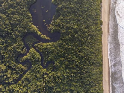 A região do Rio Verde é considerada o coração da Estação Ecológica Jureia-Itatins