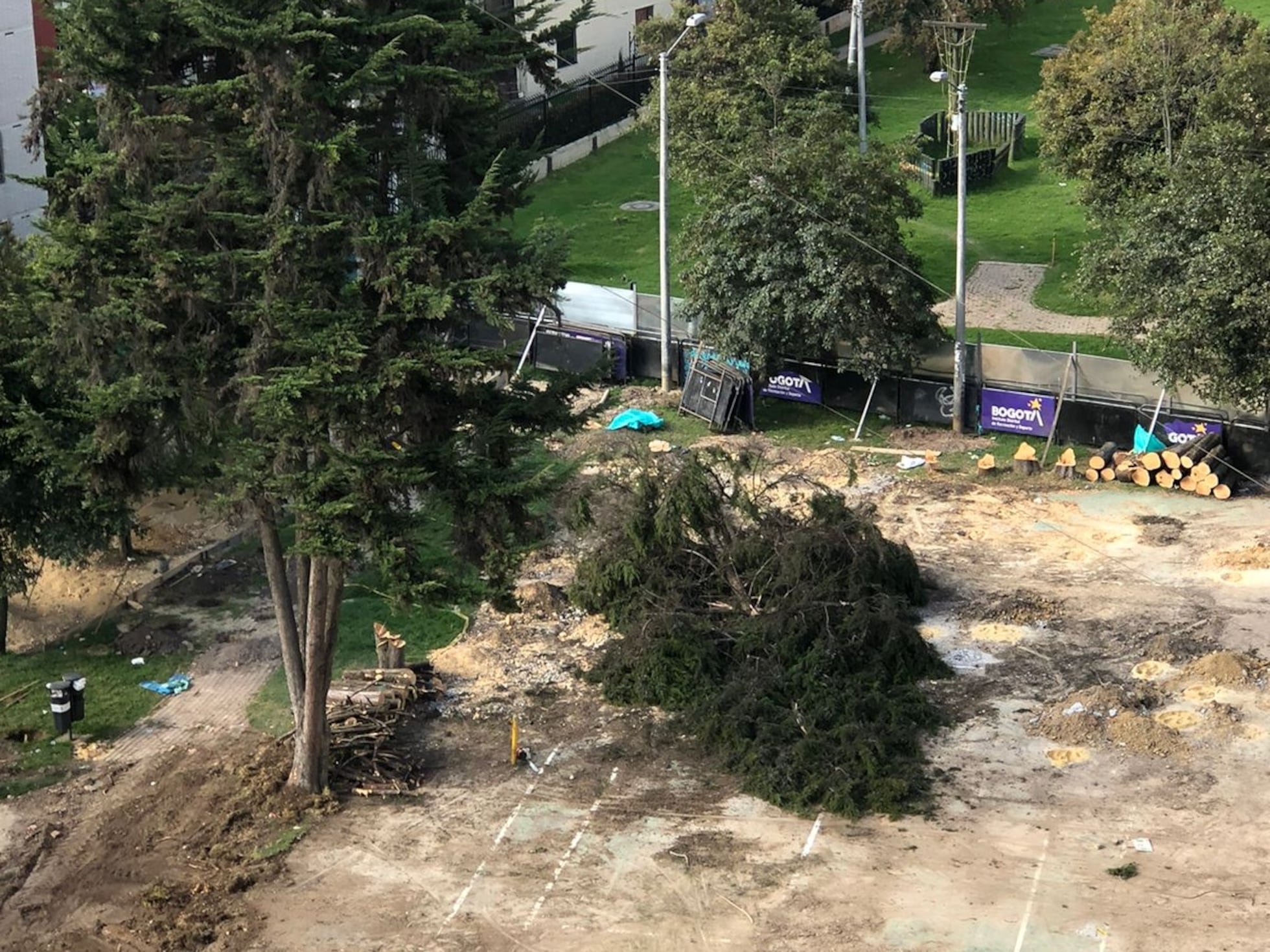 La tala de árboles en un parque público para construir un colegio ...