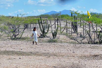Una ni&ntilde;a ind&iacute;gena en el Parque Nacional de Bah&iacute;a Portete-Kaurrele, en La Guajira. 