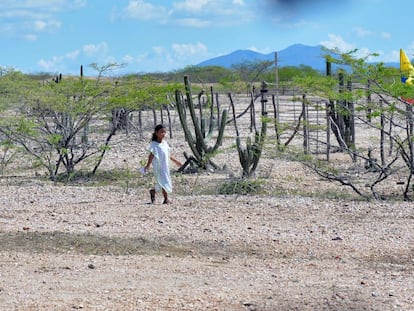 Una niña indígena en el Parque Nacional de Bahía Portete-Kaurrele, en La Guajira.