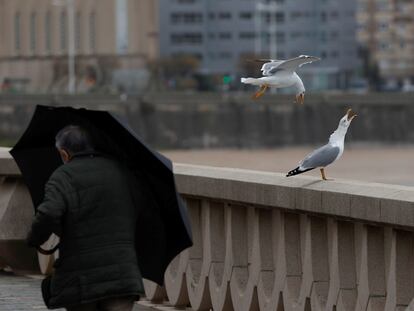 Un hombre camina por el paseo marítimo de A Coruña abrigándose de la lluvia con un paraguas, el pasado 27 de diciembre.