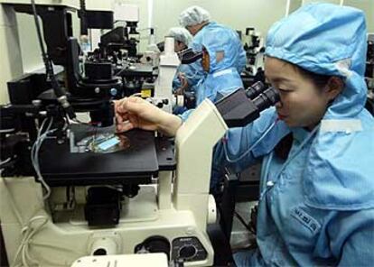 Científicos de la Universidad de Seúl, durante un experimento de clonación de embriones humanos.