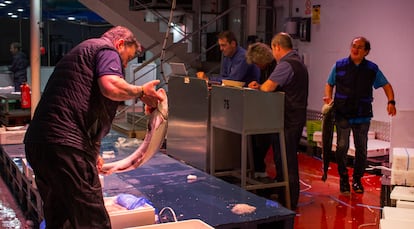 Mientras la ciudad duerme, Mercamadrid cobra vida: entre las 22.30 y las 3.00, toneladas de alimentos frescos llegan en camiones para abastecer a supermercados, restaurantes y comercios de proximidad en un radio de 500 kilómetros. La venta no se detiene hasta el amanecer.